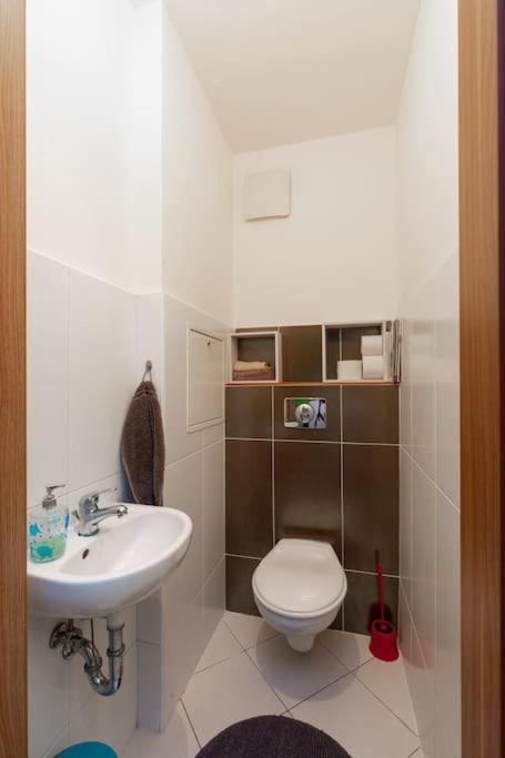 Charming With Quiet Garden In Downtown Apartament